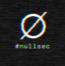 nullsec logo